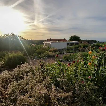 Inn Hoechsten Erlebnis