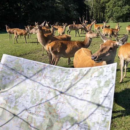 Inn Hoechsten Erlebnis Illmensee