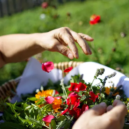 Hoechsten Erlebnis *